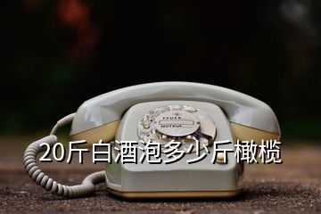 20斤白酒泡多少斤橄欖