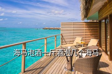 海馬泡酒一斤酒泡幾個(gè)海馬