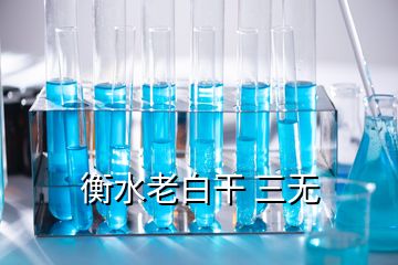 衡水老白干 三無