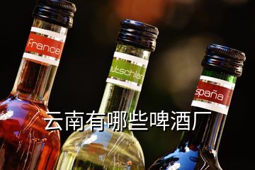 云南有哪些啤酒廠