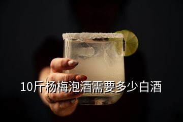 10斤楊梅泡酒需要多少白酒