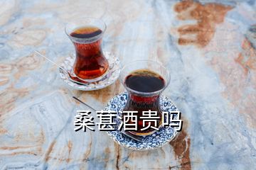 桑葚酒貴嗎