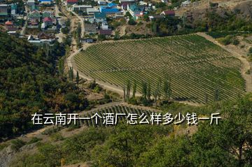 在云南開一個(gè)酒廠怎么樣多少錢一斤