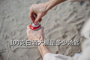 100克白酒大概是多少湯匙