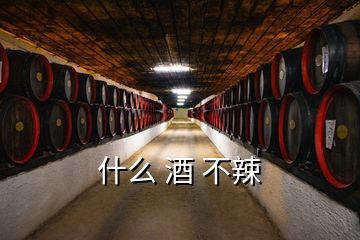 什么 酒 不辣