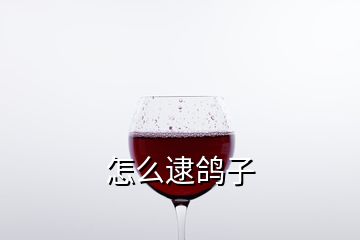 怎么逮鴿子