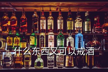 什么東西又可以戒酒