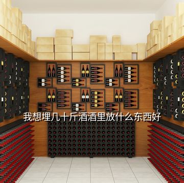 我想埋幾十斤酒酒里放什么東西好