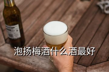 泡揚梅酒什么酒最好