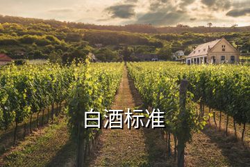 白酒標準