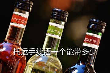 托運手續(xù)酒一個能帶多少