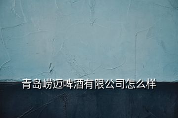 青島嶗邁啤酒有限公司怎么樣