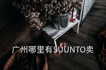 廣州哪里有SUUNTO賣