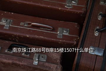 南京珠江路88號B座15樓1507什么單位