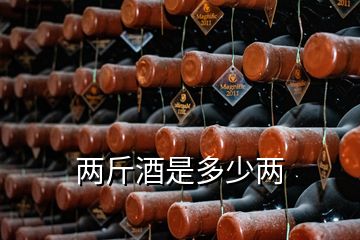 兩斤酒是多少兩