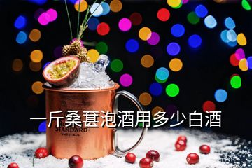 一斤桑葚泡酒用多少白酒