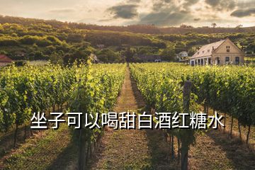 坐子可以喝甜白酒紅糖水