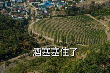 酒塞塞住了