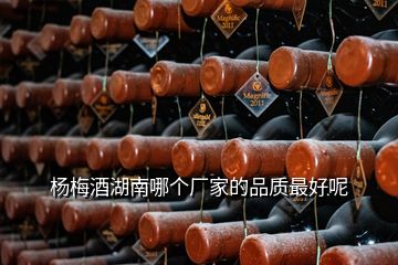 楊梅酒湖南哪個廠家的品質(zhì)最好呢