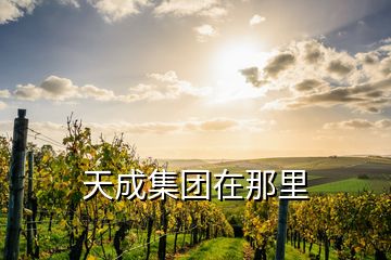 天成集團(tuán)在那里