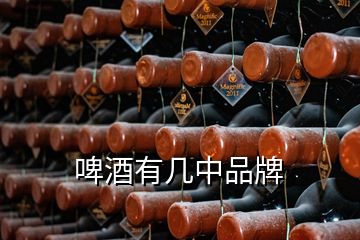 啤酒有幾中品牌