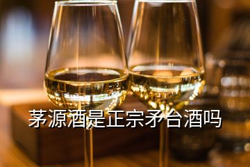 茅源酒是正宗矛臺(tái)酒嗎