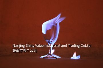 Nanjing Shiny Value Industrial and Trading CoLtd 是南京哪個(gè)公司