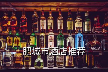 肥城市酒店推薦