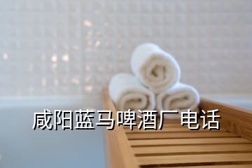 咸陽藍馬啤酒廠電話