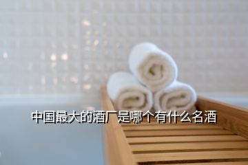 中國(guó)最大的酒廠是哪個(gè)有什么名酒