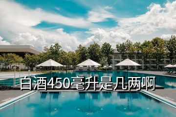 白酒450毫升是幾兩啊