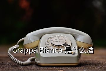 Grappa Bianca 是什么酒