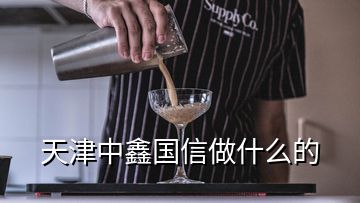 天津中鑫國信做什么的