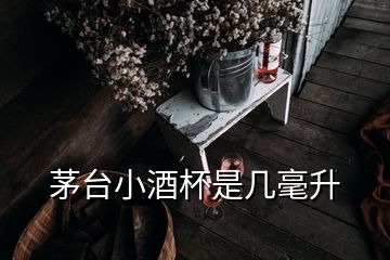 茅臺小酒杯是幾毫升