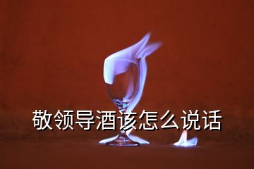 敬領(lǐng)導(dǎo)酒該怎么說(shuō)話