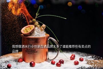 我想做酒水行業(yè)但是白酒品牌太多了誰(shuí)能推薦些有賣(mài)點(diǎn)的品牌