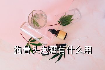 狗骨頭泡酒有什么用