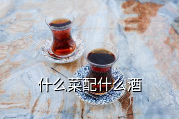 什么菜配什么酒