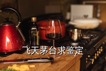 飛天茅臺(tái)求鑒定