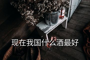 現(xiàn)在我國(guó)什么酒最好