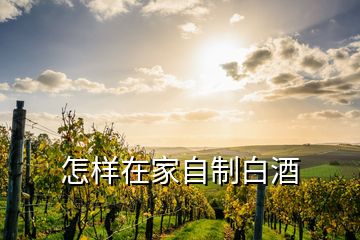 怎樣在家自制白酒