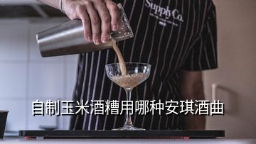 自制玉米酒糟用哪種安琪酒曲