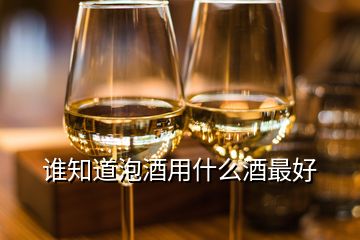 誰知道泡酒用什么酒最好