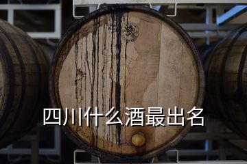 四川什么酒最出名