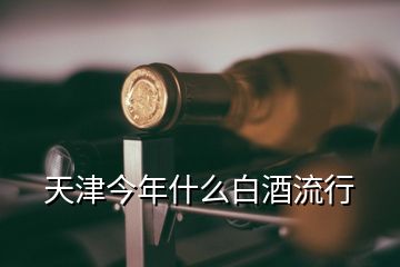 天津今年什么白酒流行