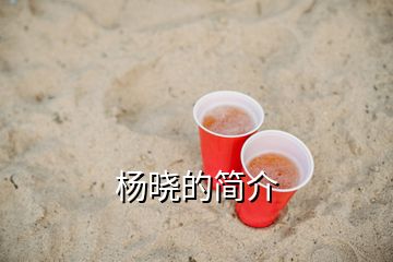 楊曉的簡(jiǎn)介