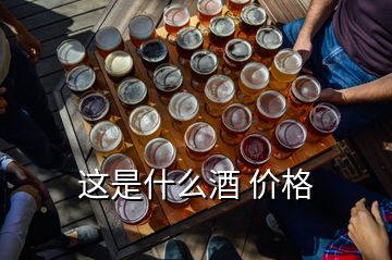 這是什么酒 價格