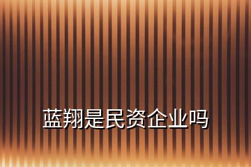 藍(lán)翔是民資企業(yè)嗎