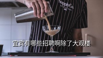 宜賓有哪些招聘啊除了大觀樓