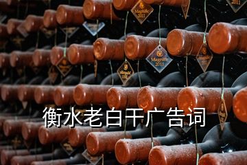 衡水老白干廣告詞